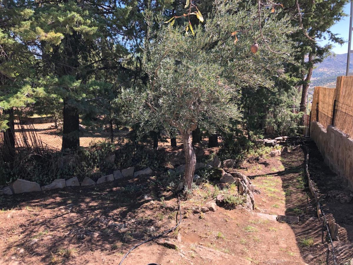 La Estacion Casa Rural Los Olivos De Robledo De Chavela מראה חיצוני תמונה